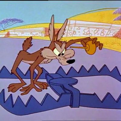 Élections municipales de Lyon : le syndrôme du coyote  ?